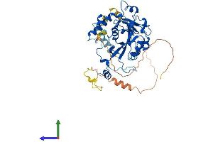 AlphaFold protein structure predicition of Mouse Recombinant Mettl14 Protein, UniprotID Q3UIK4