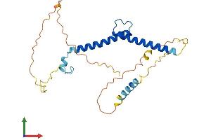 Protein Structure (PS) image for Myogenic Factor 6 (MYF6) (AA 1-242) protein (His tag) (ABIN7549659)