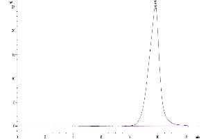 Size-exclusion chromatography-High Pressure Liquid Chromatography (SEC-HPLC) image for Secretory Leukocyte Peptidase Inhibitor (SLPI) (AA 26-131) protein (Fc Tag) (ABIN7275628)