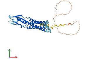 Protein Structure (PS) image for Synaptophysin (SYP) (AA 1-314) protein (His tag) (ABIN7557780)