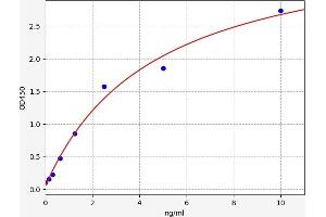 Typical standard curve (CSNK2B ELISA Kit)