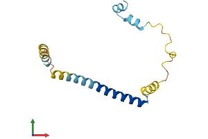 Protein Structure (PS) image for Complexin 2 (CPLX2) (AA 1-134) protein (His tag) (ABIN7546718)
