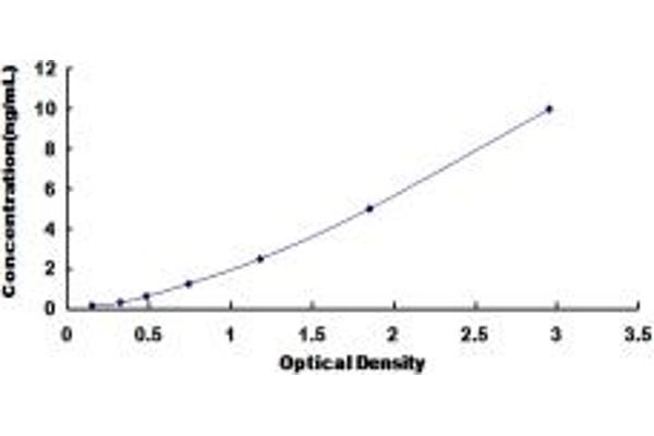 RNF112 ELISA Kit