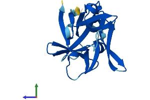 Protein Structure (PS) image for Interleukin 1 Family, Member 10 (Theta) (IL1F10) (AA 1-152) protein (His tag) (ABIN7548512)