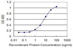 Detection limit for recombinant GST tagged PHLDA1 is 0. (PHLDA1 Antikörper  (AA 1-109))