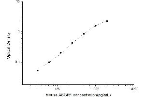 Asialoglycoprotein Receptor 1 ELISA Kit