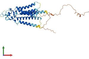 Protein Structure (PS) image for Lipid Phosphate Phosphatase-Related Protein Type 1 (LPPR1) (AA 1-325) protein (His tag) (ABIN7550896)