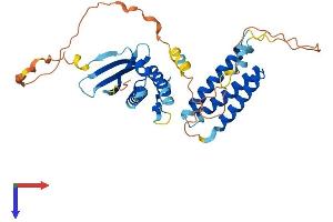 SNX15 Protein (AA 1-342) (His tag)