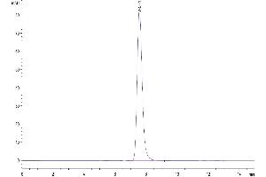 Size-exclusion chromatography-High Pressure Liquid Chromatography (SEC-HPLC) image for Chondrolectin (CHODL) (AA 22-216) protein (Fc Tag) (ABIN7274320)