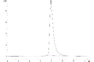 The purity of Biotinylated Human BTN1A1 is greater than 95 % as determined by SEC-HPLC. (BTN1A1 Protein (AA 27-242) (His-Avi Tag,Biotin))