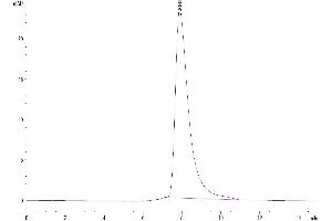 The purity of Biotinylated Human BTN1A1 is greater than 95 % as determined by SEC-HPLC.