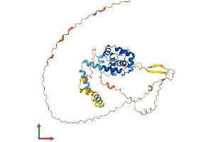 AlphaFold protein structure predicition of Human Recombinant SPDYE2B Protein, UniprotID A6NHP3