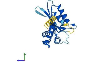 Protein Structure (PS) image for Activation-Induced Cytidine Deaminase (AICDA) (AA 1-198) protein (His tag) (ABIN7556319)