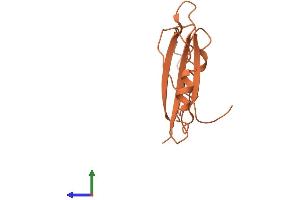 AlphaFold protein structure predicition of Human Recombinant FAM223B Protein, UniprotID A6NKX1