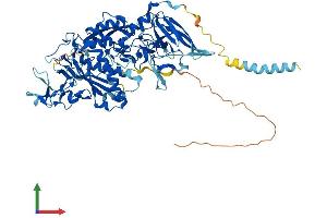 Protein Structure (PS) image for Leishmanolysin-Like (Metallopeptidase M8 Family) (LMLN) (AA 1-681) protein (His tag) (ABIN7558775)