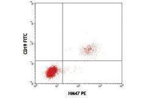 Flow Cytometry (FACS) image for anti-B-cell antigen receptor complex-associated protein alpha chain (CD79A) antibody (PE) (ABIN2663582) (CD79a Antikörper  (PE))