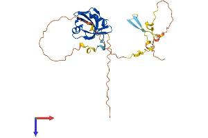 PDZD9 Protein (AA 1-264) (His tag)