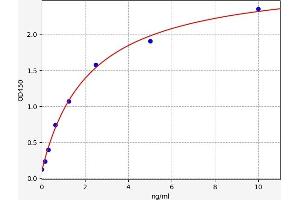 Myocardin ELISA Kit