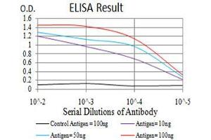 Black line: Control Antigen (100 ng),Purple line: Antigen (10 ng), Blue line: Antigen (50 ng), Red line:Antigen (100 ng) (UCP2 Antikörper  (AA 1-309))