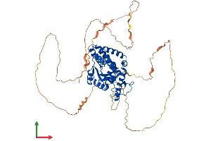 Protein Structure (PS) image for Eyes Absent Homolog 2 (Drosophila) (EYA2) (AA 1-532) protein (His tag) (ABIN7562169)