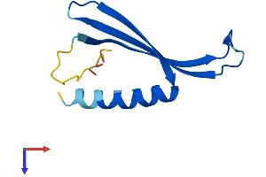 COMMD6 Protein (AA 1-87) (Fc Tag)