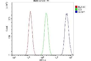 Flow Cytometry analysis of A549 cells using anti-SENP1 antibody (ABIN7600422).