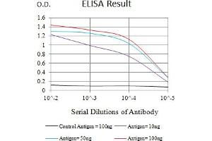 Black line: Control Antigen (100 ng),Purple line: Antigen (10 ng), Blue line: Antigen (50 ng), Red line:Antigen (100 ng) (Sialoadhesin/CD169 Antikörper  (AA 20-197))
