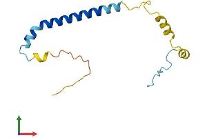 AlphaFold protein structure predicition of Mouse Recombinant Paip2 Protein, UniprotID Q9D6V8
