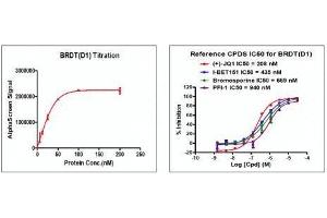 Screening Assay (ScA) image for Bromodomain, Testis-Specific (BRDT) (AA 21-137) protein (His tag,DYKDDDDK Tag) (ABIN2669698)
