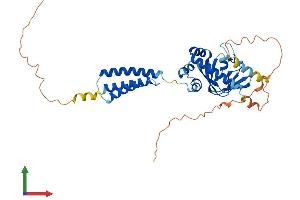 Protein Structure (PS) image for Blood Vessel Epicardial Substance (BVES) (AA 1-358) protein (His tag) (ABIN7565060)