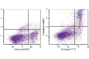 Day old BALB/c mouse splenocytes were stained with ApoScreen® Annexin V Apoptosis Kit-FITC. (Annexin V Apoptosis Kit-FITC)