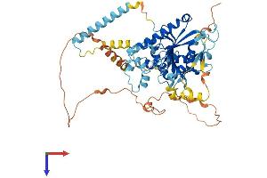 DDHD1 Protein (AA 1-547) (His tag)