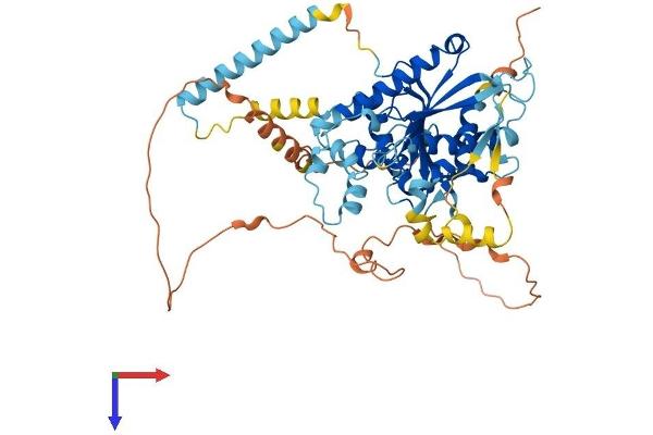 DDHD1 Protein (AA 1-547) (His tag)