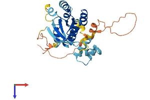 RAB40C Protein (AA 1-281) (His tag)