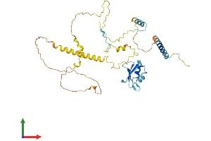 Protein Structure (PS) image for RD RNA Binding Protein (RDBP) (AA 1-375) protein (His tag) (ABIN7562939)