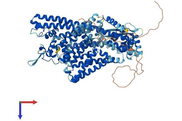TPCN1 Protein (AA 1-816) (His tag)