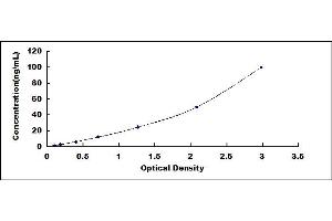 Typical standard curve (Maltase-Glucoamylase (MGAM) ELISA Kit)