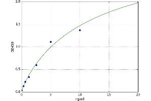 ATG5 Autophagy Related 5 (ATG5) ELISA Kit