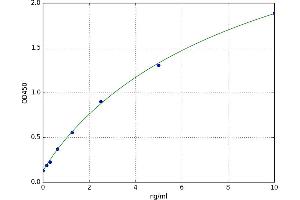 A typical standard curve