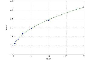 Mucin 15, Cell Surface Associated (MUC15) ELISA Kit
