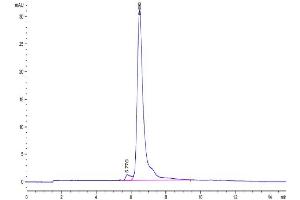 The purity of Canine TEM1 is greater than 95 % as determined by SEC-HPLC. (CD248 Protein (AA 18-687) (His tag))