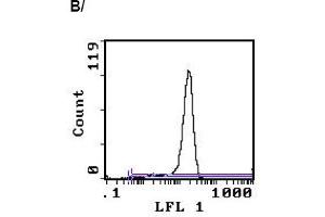 Image no. 1 for anti-CD3 (CD3) antibody (FITC) (ABIN114136) (CD3 Antikörper  (FITC))
