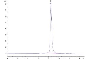 Size-exclusion chromatography-High Pressure Liquid Chromatography (SEC-HPLC) image for Butyrophilin, Subfamily 3, Member A1 (BTN3A1) (AA 30-254) protein (His-Avi Tag,Biotin) (ABIN7274009)
