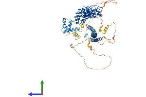 AlphaFold protein structure predicition of Mouse Recombinant Anks3 Protein, UniprotID Q9CZK6