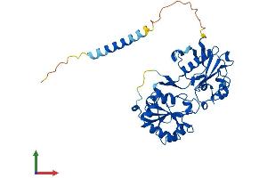 Protein Structure (PS) image for Fucosyltransferase 3 (Galactoside 3(4)-L-Fucosyltransferase, Lewis Blood Group) (FUT3) (AA 1-361) protein (His tag) (ABIN7547850)