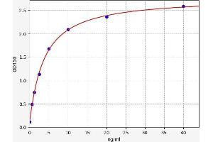 Typical standard curve (MYL3/CMLC1 ELISA Kit)