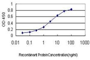 Detection limit for recombinant GST tagged HTRA2 is approximately 0. (HTRA2 Antikörper  (AA 359-458))