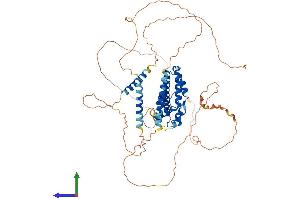 Protein Structure (PS) image for Prospero Homeobox 2 (PROX2) (AA 1-592) protein (His tag) (ABIN7551046)