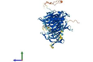 Protein Structure (PS) image for Acyl-CoA Thioesterase 11 (ACOT11) (AA 1-594) protein (His tag) (ABIN7559931)