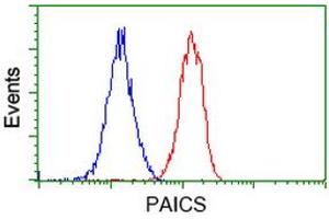 Flow cytometric Analysis of Jurkat cells, using anti-PAICS antibody (ABIN2453416), (Red), compared to a nonspecific negative control antibody (ABIN2453416), (Blue). (PAICS Antikörper)